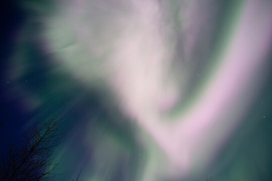 Looking up into a cloud of aurora borealis that looks misty and magical