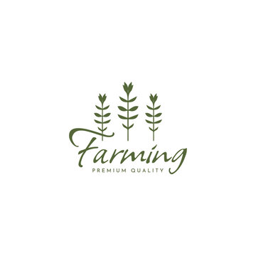 Farming logo, agriculture logo vector illustration design graphic , plant icon, harvest farm symbol