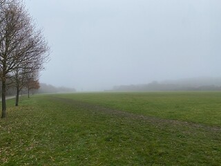 Obraz premium misty morning in the field