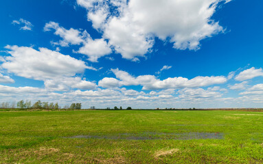 field and blue sky with clouds