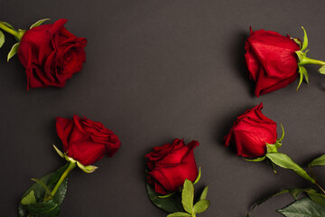 flat lay of red roses on black background.