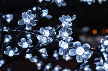 flores de cristal iluminadas