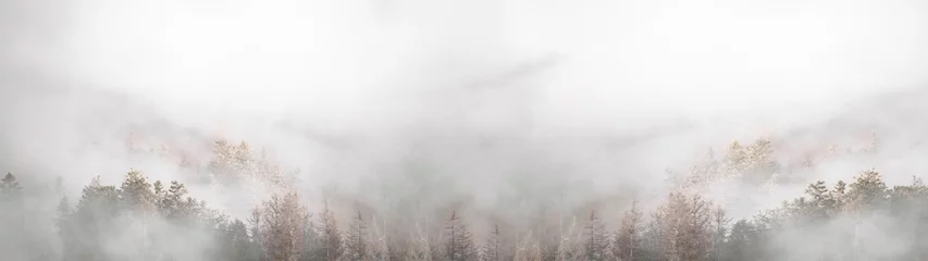 Rollo Erstaunliche mystische Landschaft mit aufsteigenden Nebelwaldbäumen im Schwarzwald (Schwarzwald) Deutschland Panoramabanner .- dunkle Stimmung .. © Corri Seizinger