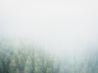 Fototapeta na wymiar Schwarzwald bei Nebel Drohnenaufnahme aus der Luft