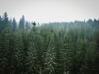 Schwarzwald bei Nebel Drohnenaufnahme aus der Luft