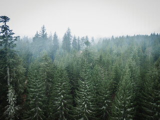 Schwarzwald bei Nebel Drohnenaufnahme aus der Luft