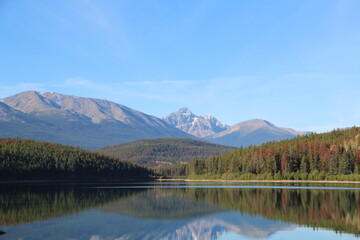 Reflections On The Lake, Jasper National Park, Alberta