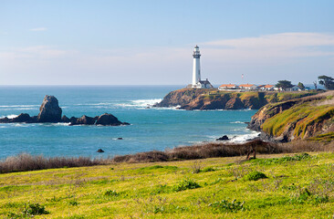 Fototapeta na wymiar Landscape of the Pacific ocean seashore with lighthouse and small buildings nearby
