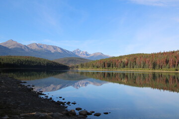 lake in the morning, Jasper National Park, Alberta