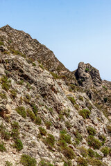 Wild and picturesque Calabria
Amazing scenery of Calabrian hills with roads and olive trees visible from Bova superiore. Calabria, Italy