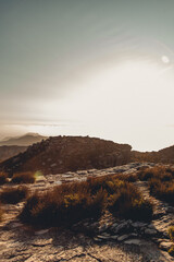 Landscape at the sunset