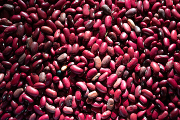 Frijoles rojos a la luz del sol