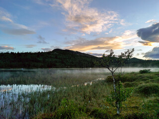 tranquil landscape scenery during blue hour with reflections in water and pink skies.