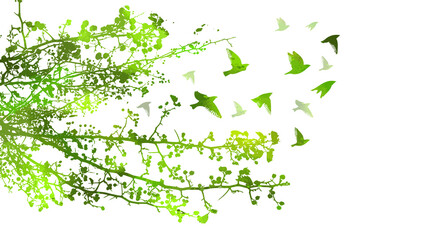 Branches of a green tree with flying birds. Vector illustration