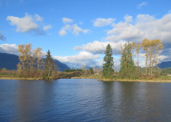 Autumn scenery at Pitt Meadow dykes