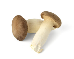 Organic mushroom on white background