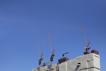 Cranes build tall buildings in the middle of the city on an empty cloudless day