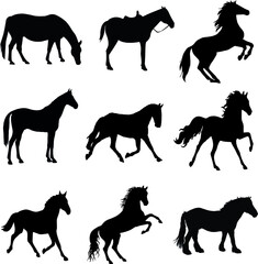 Horses Silhouette Pack