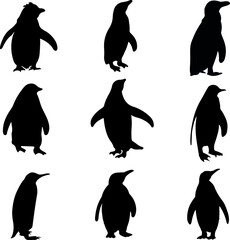 Obraz premium Penguin Silhouette Pack