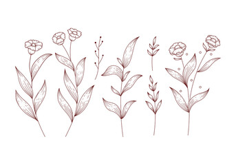 Rustic brown flower and isolated floral leaves clipart vector illustration set