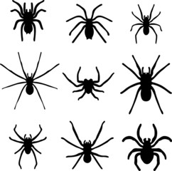 Spiders Silhouette Pack