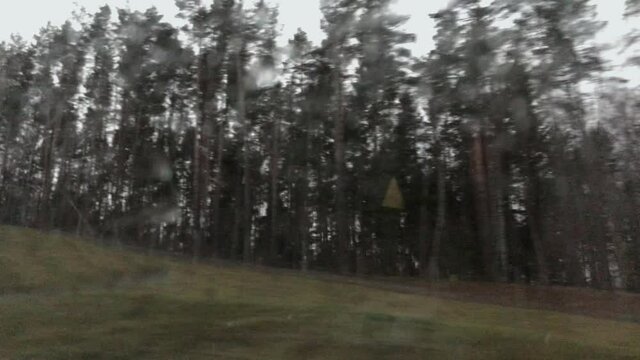 Autumn forest from a moving car. Raindrops on the glass.