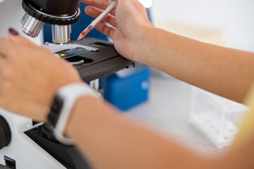 Female veterinarian doing laboratory research in clinic