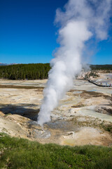 Black growler steam vent at Norris Geyser Basin in summer, Yellowstone National Park Wyoming hot springs.