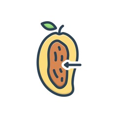 Color illustration icon for kernel