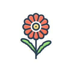 Color illustration icon for daisy