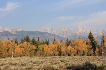 Grand Tetons 