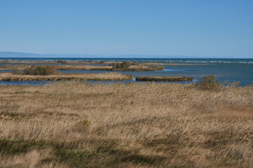 Mouth of a river to the sea in the ebro delta