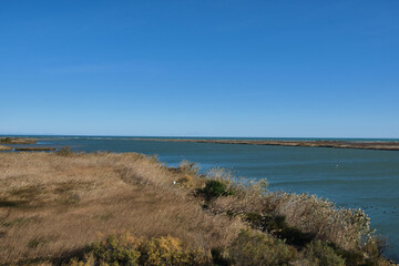 Mouth of a river to the sea in the ebro delta