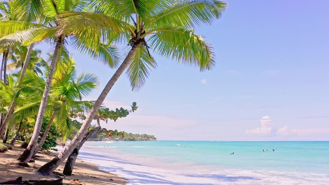 Stunning Playa Bonita white sand beach fringed with palm trees, Caribbean