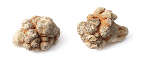 Dried notoginseng isolated on white background