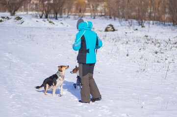 Fototapeta na wymiar Female master playing with black mixed breed and basenji dog on countryside on at winter season