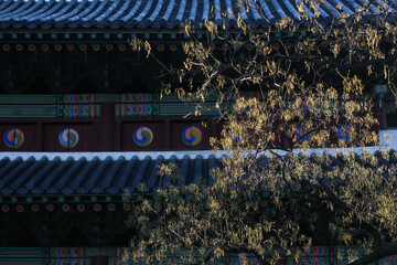 Korean traditional palace.