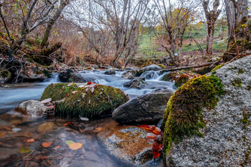 Naklejka na ściany i meble Landscape of a small mountain river in the Pyrenees in the Aran valley Lleida Catalonia Spain