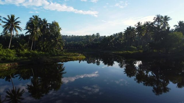 Paradise Concept, Palm Trees With Reflection In Water, Mui Ne, Vietnam, Aerial