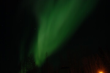 Northern Lights