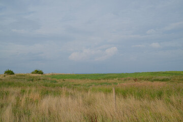 Late summer afternoon