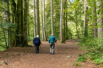 Two elderly people strolling through the Hermitage forest