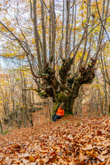 young woman sitting next to a large tree in a forest during autumn, in the Valle de Aran,...