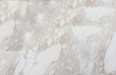 Light gray marble background, natural stone