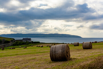 View of the northern landscape during the summer