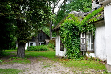 A close up on an old abandoned house with its roof almost entirely covered with vines and with...