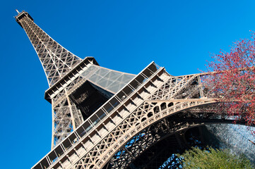 Fototapeta premium Torre Eiffel