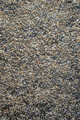 Texture, concrete, asphalt, background, background for designers