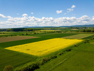 Fototapeta premium Rapeseed field aerial drone in Hessen Germany with clouds and blue sky on a summer day