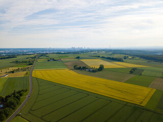 Aerial drone view of yellow rape seed field and other fields in an agricultural area close to...